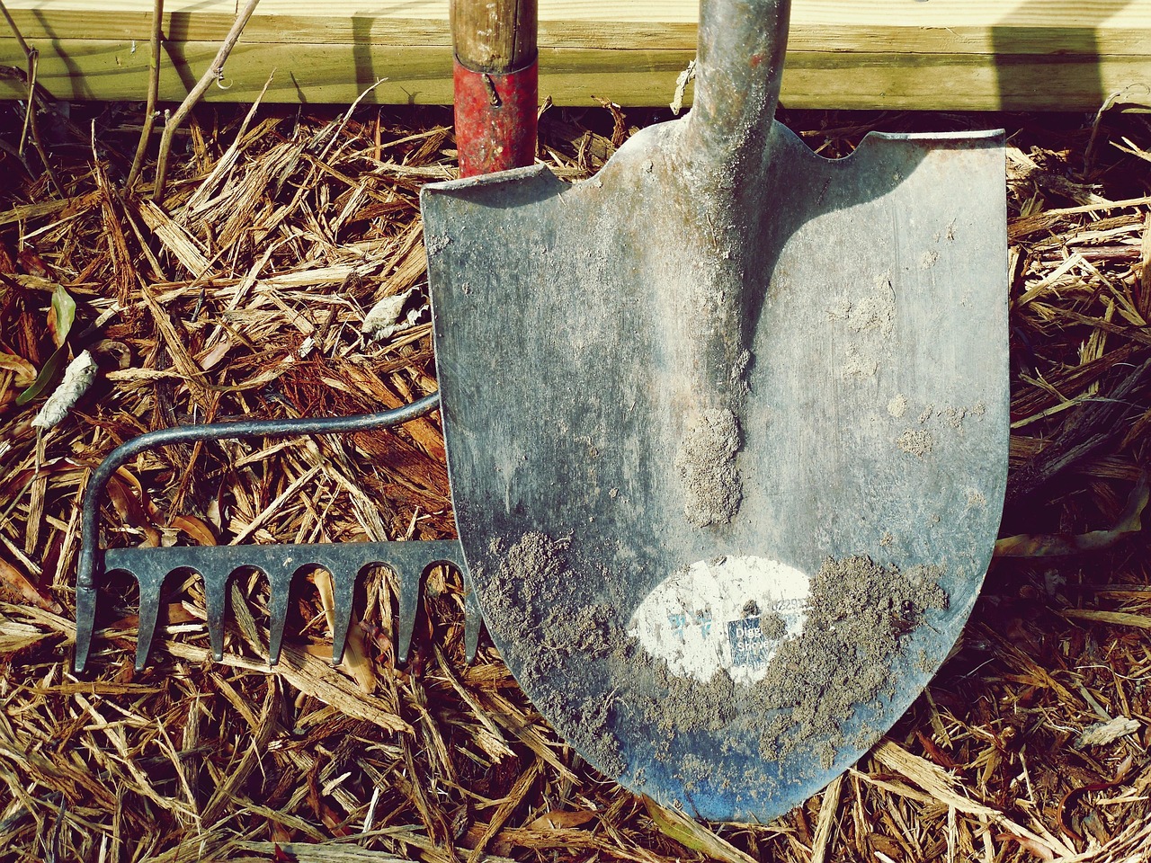 Wie entwickelt sich der Arbeitsmarkt in Deutschland?